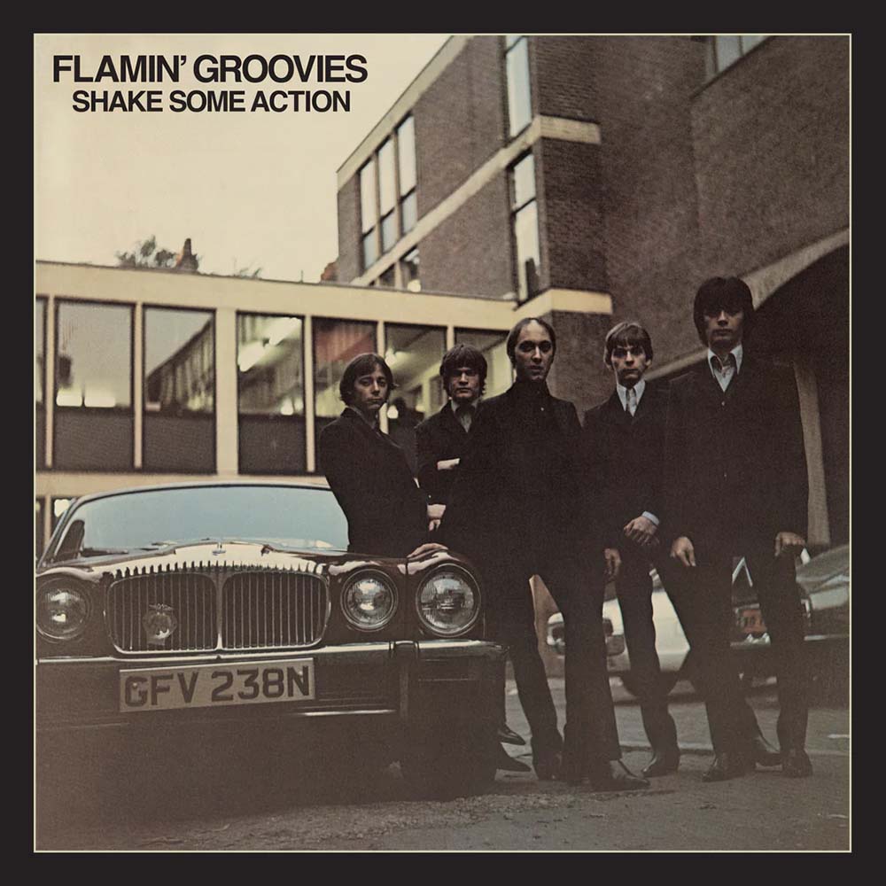 Flamin' Groovies - Shake Some Action