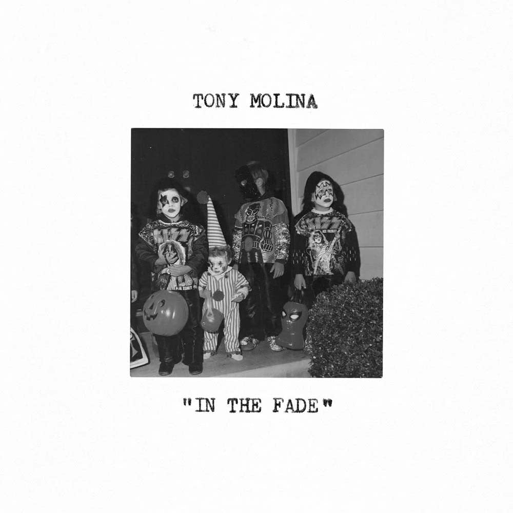 Tony Molina - In the Fade (LP)