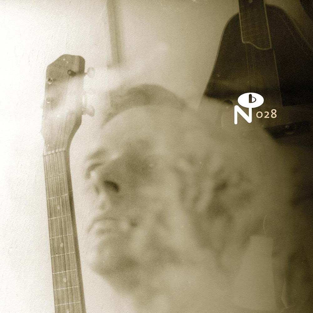 Various - Wayfaring Strangers: Lonesome Heroes (CD)