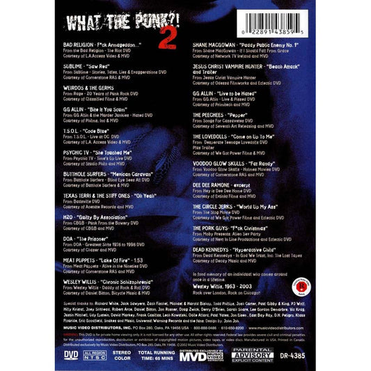 Various - What The Punk?! 2