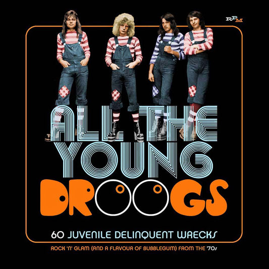 Various - All The Young Droogs: 60 Juvenile Delinquent Wrecks (CD)