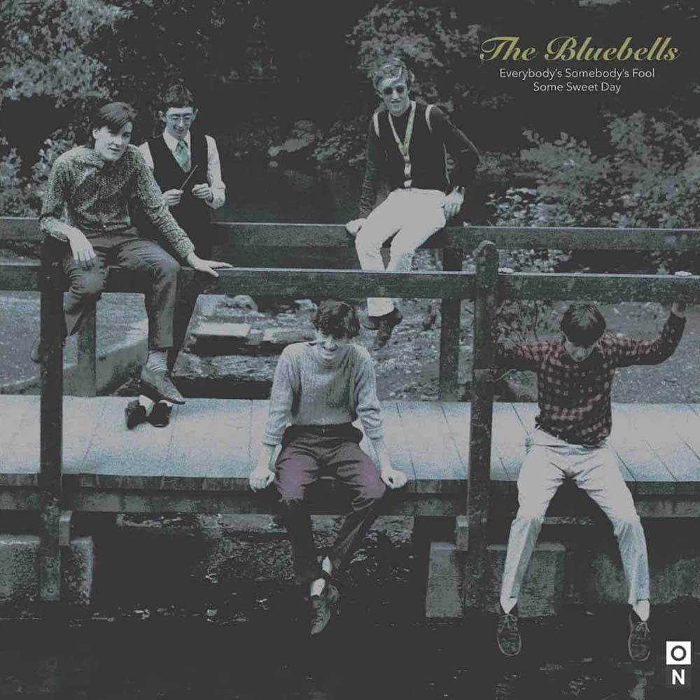 Bluebells - Everybody's Somebody's Fool (7")