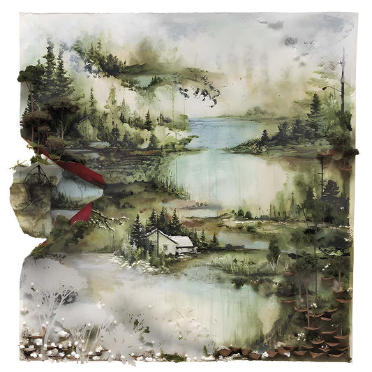 Bon Iver - Bon Iver, Bon Iver (LP)