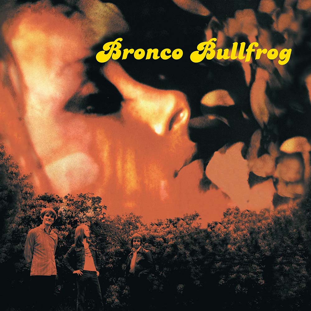 Bronco Bullfrog - Bronco Bullfrog (LP)