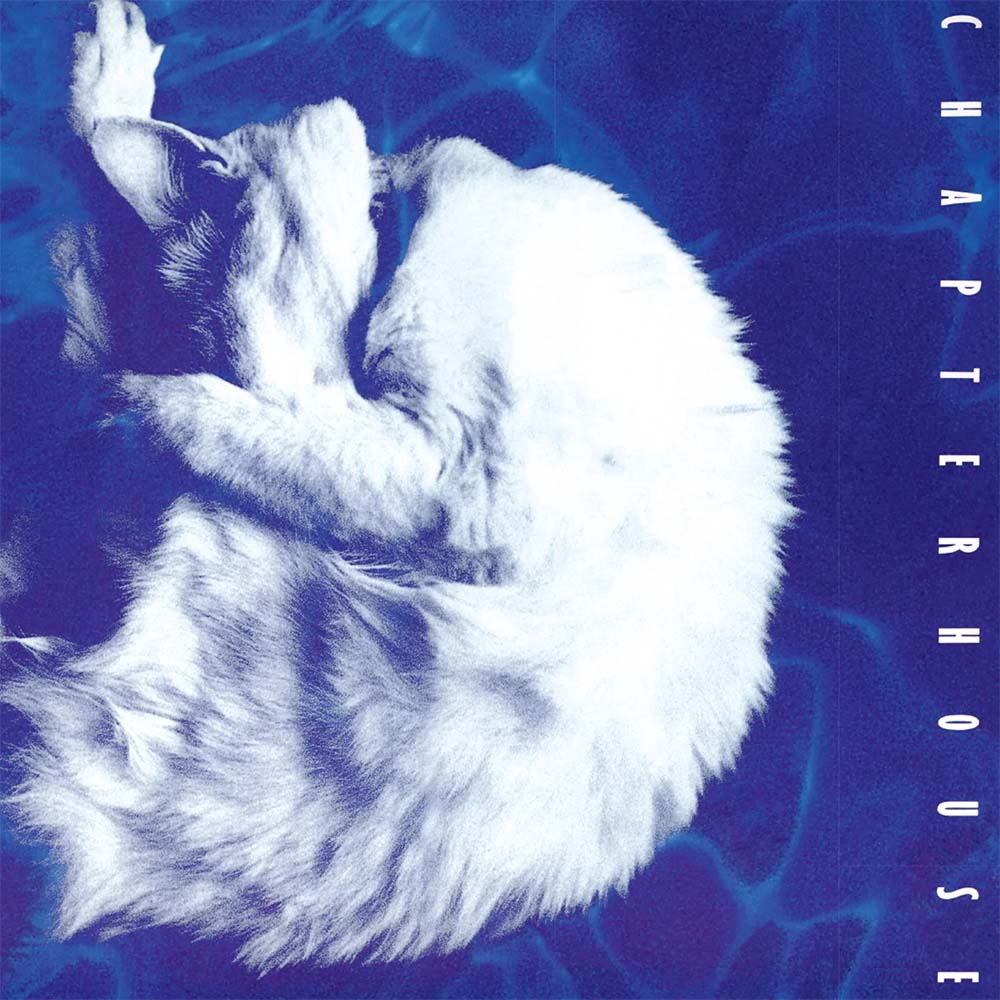 Chapterhouse - Whirlpool (LP)