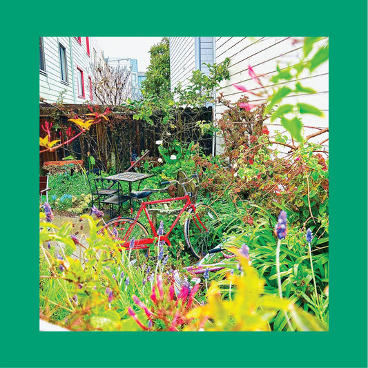 Reds, Pinks & Purples - Unwishing Well (LP)