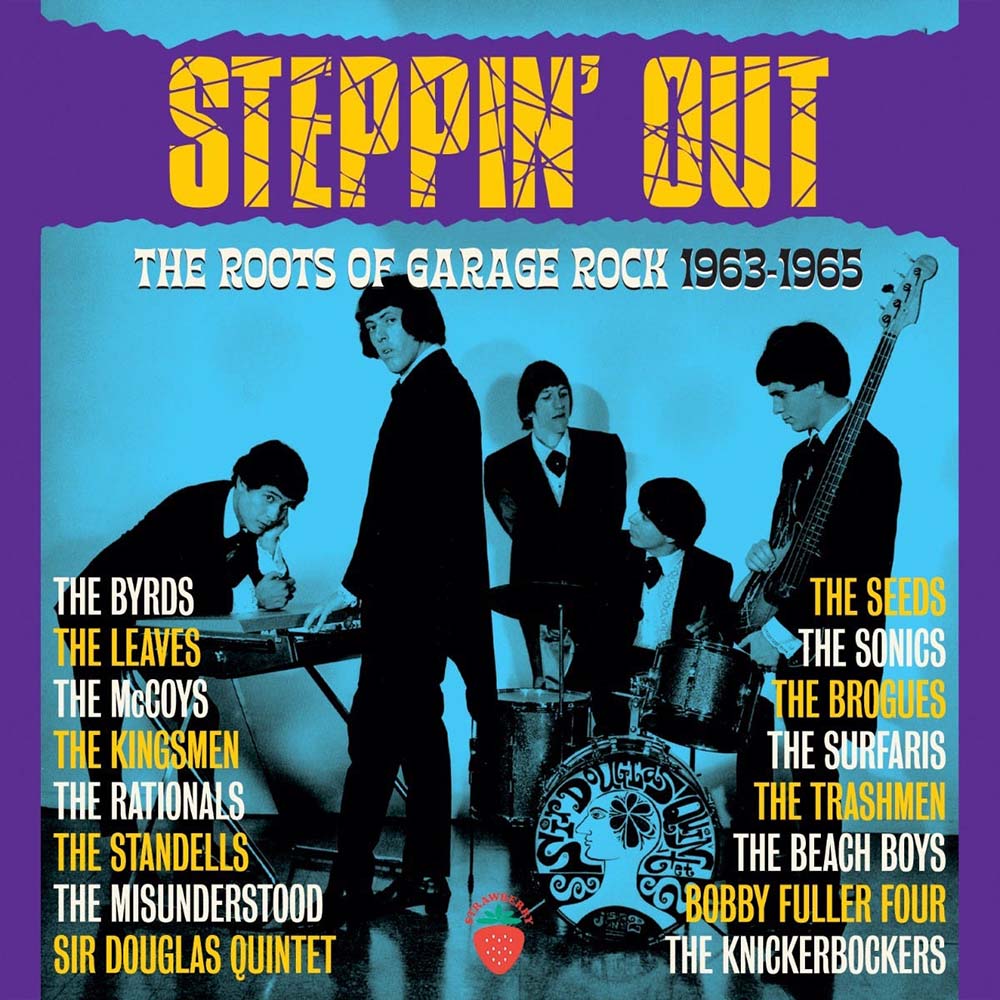 Various -  Steppin' Out - The Roots Of Garage Rock 1963-1965 (CD)