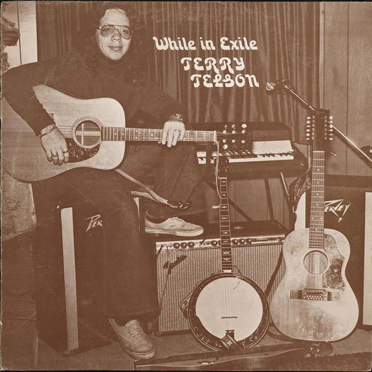 Terry Telson - While In Exile (LP)