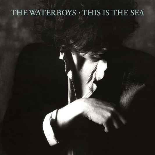 Waterboys - This Is the Sea (LP)