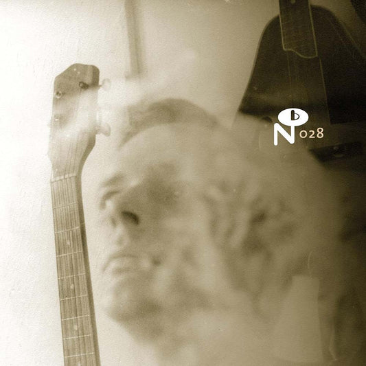 Various - Wayfaring Strangers: Lonesome Heroes (CD)