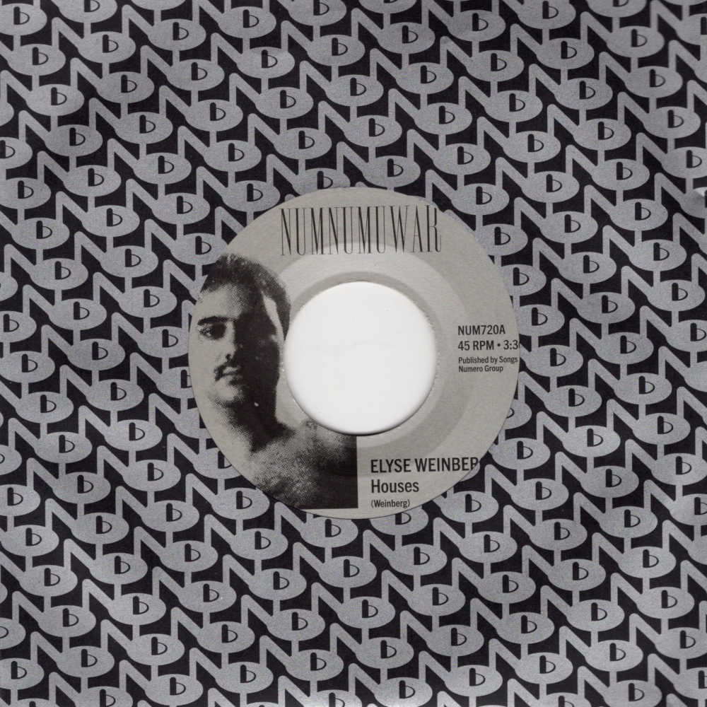 Elyse Weinberg / Dinosaur Jr - Houses (7")