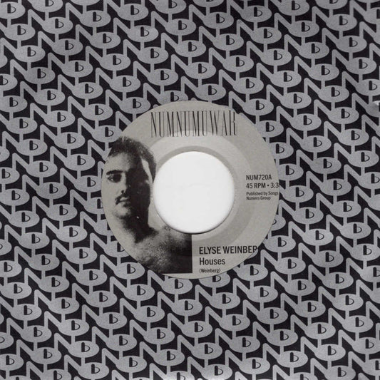 Elyse Weinberg / Dinosaur Jr - Houses (7")