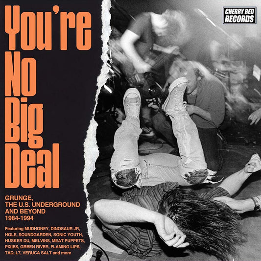 Various - You're No Big Deal: Grunge, The U.S. Underground & Beyond 1984-1994 (CD)