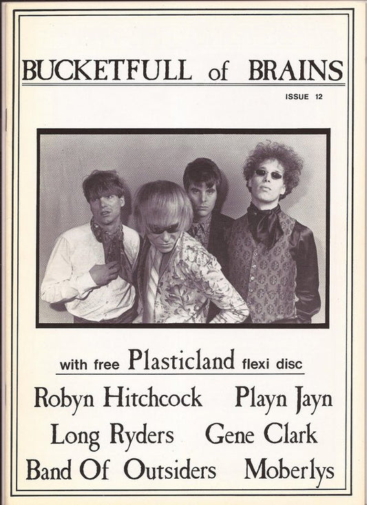 Bucketfull of Brains Issue 012; Plasticland