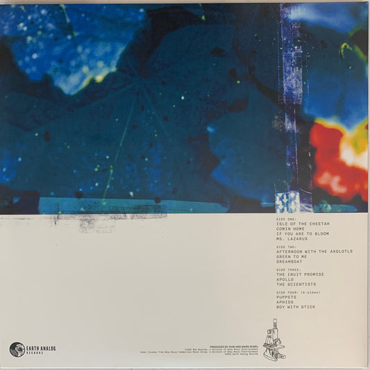 Hum - Downward Is Heavenward (Double LP)