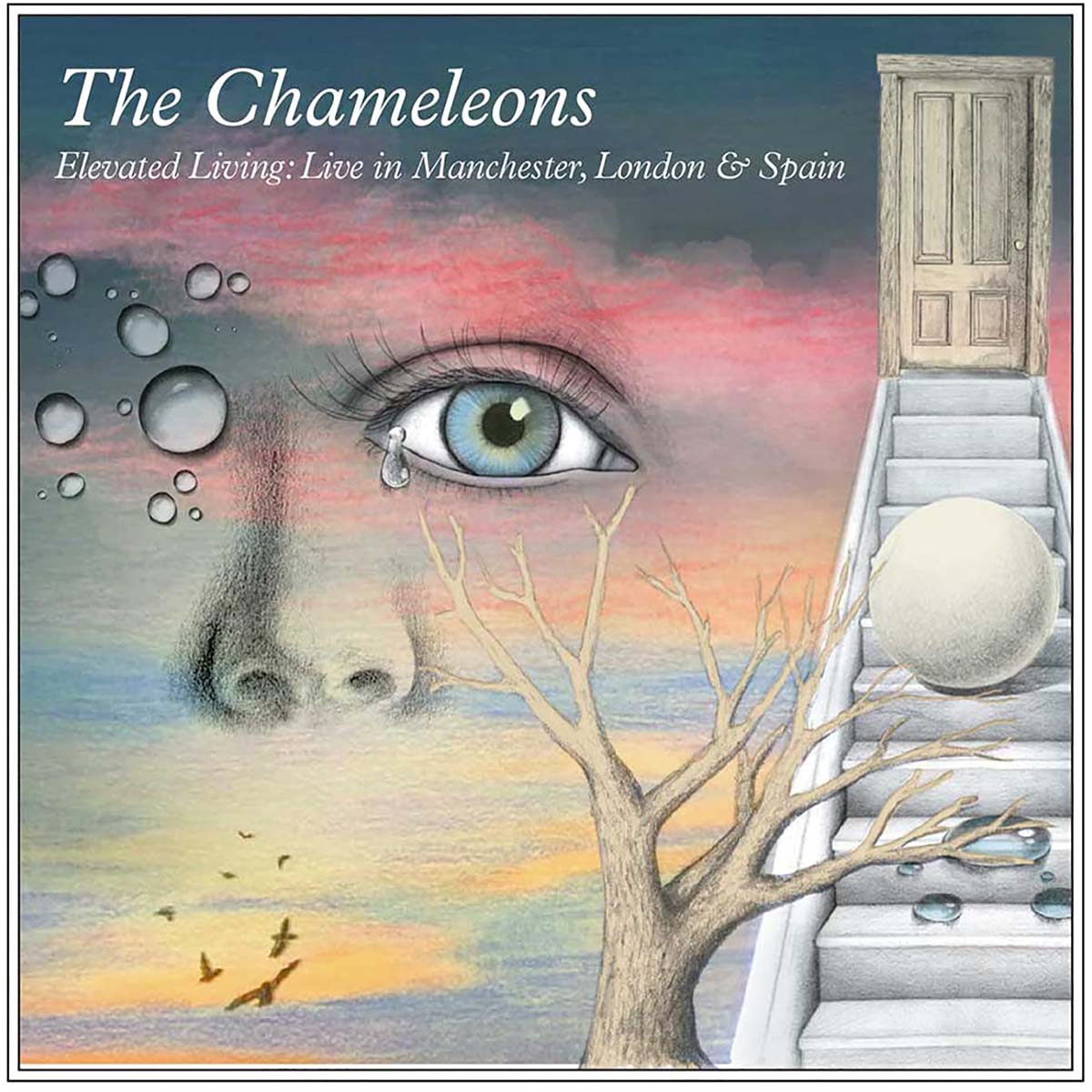 Chameleons - Elevated Living: Live in Manchester, London & Spain (CD)