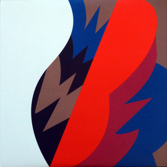 Fiery Furnaces - Remember (LP)