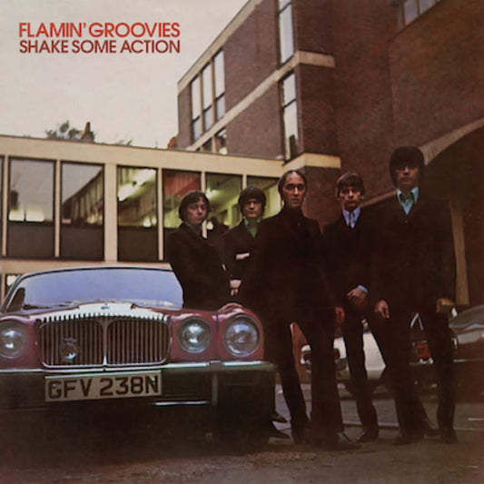 Flamin' Groovies - Shake Some Action (LP)