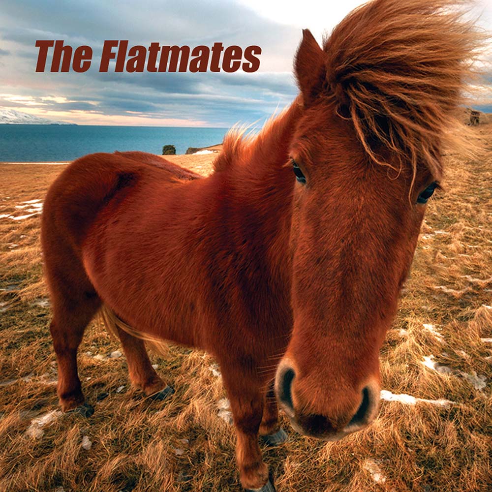 Flatmates - The Flatmates (LP)