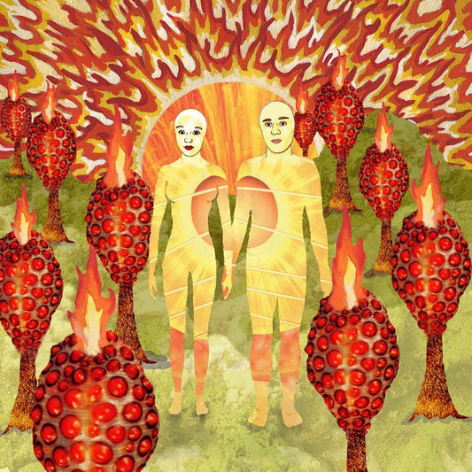 of Montreal - The Sunlandic Twins (LP)