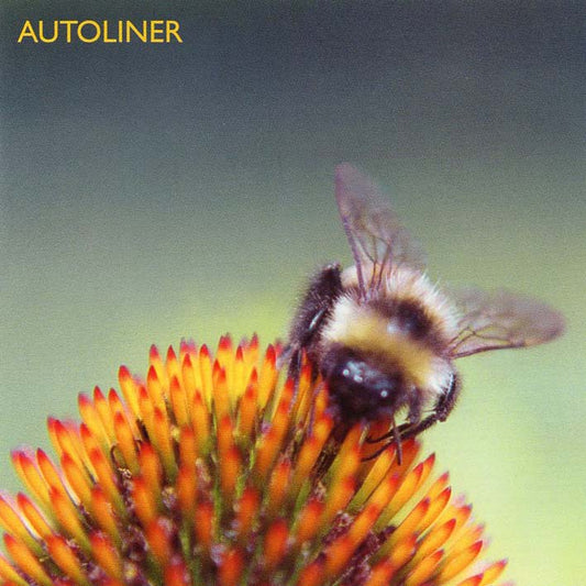Autoliner - Be (Par-CD-071)