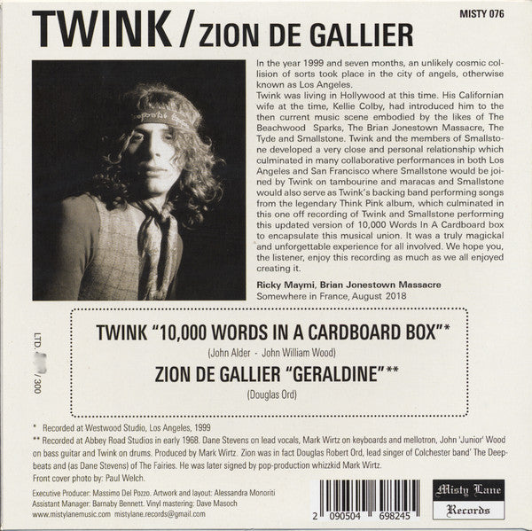 Twink - 10,000 Words In A Cardboard Box (7")