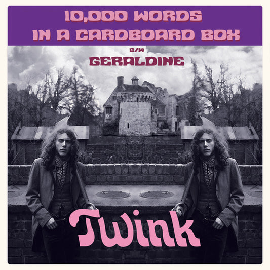 Twink - 10,000 Words In A Cardboard Box (7")