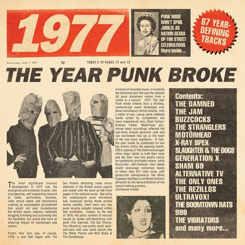 Various - 1977: The Year Punk Broke